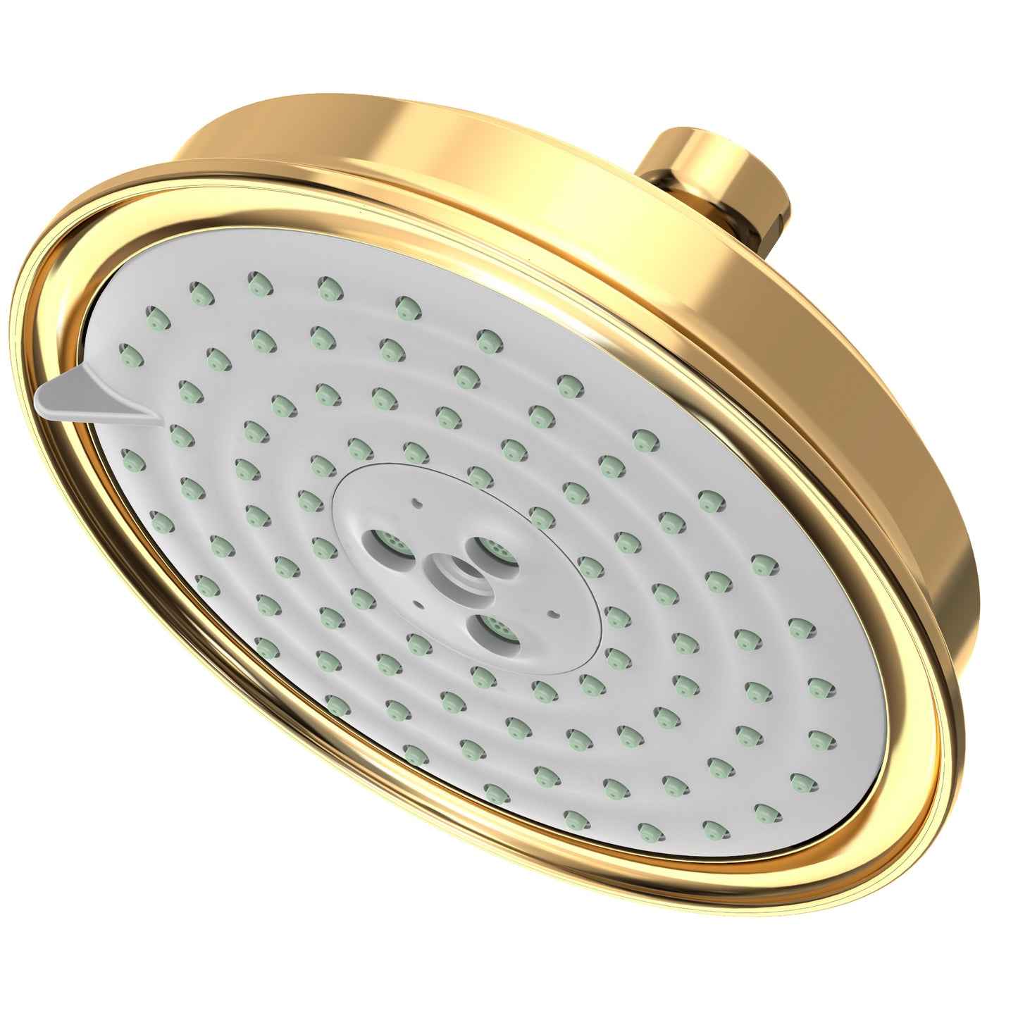 Newport Brass 2144 Multifunction Showerhead