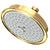 Newport Brass 2144 Multifunction Showerhead
