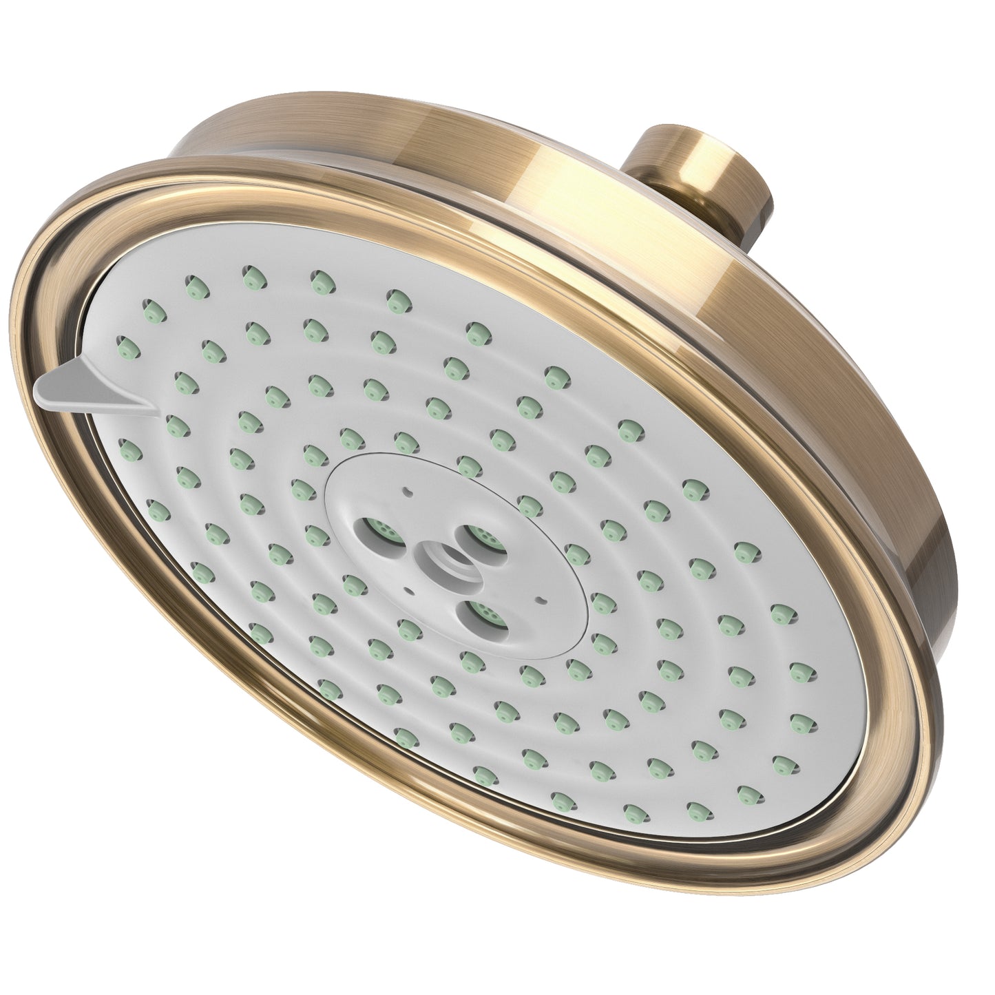 Newport Brass 2144 Multifunction Showerhead