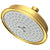 Newport Brass 2144 Multifunction Showerhead