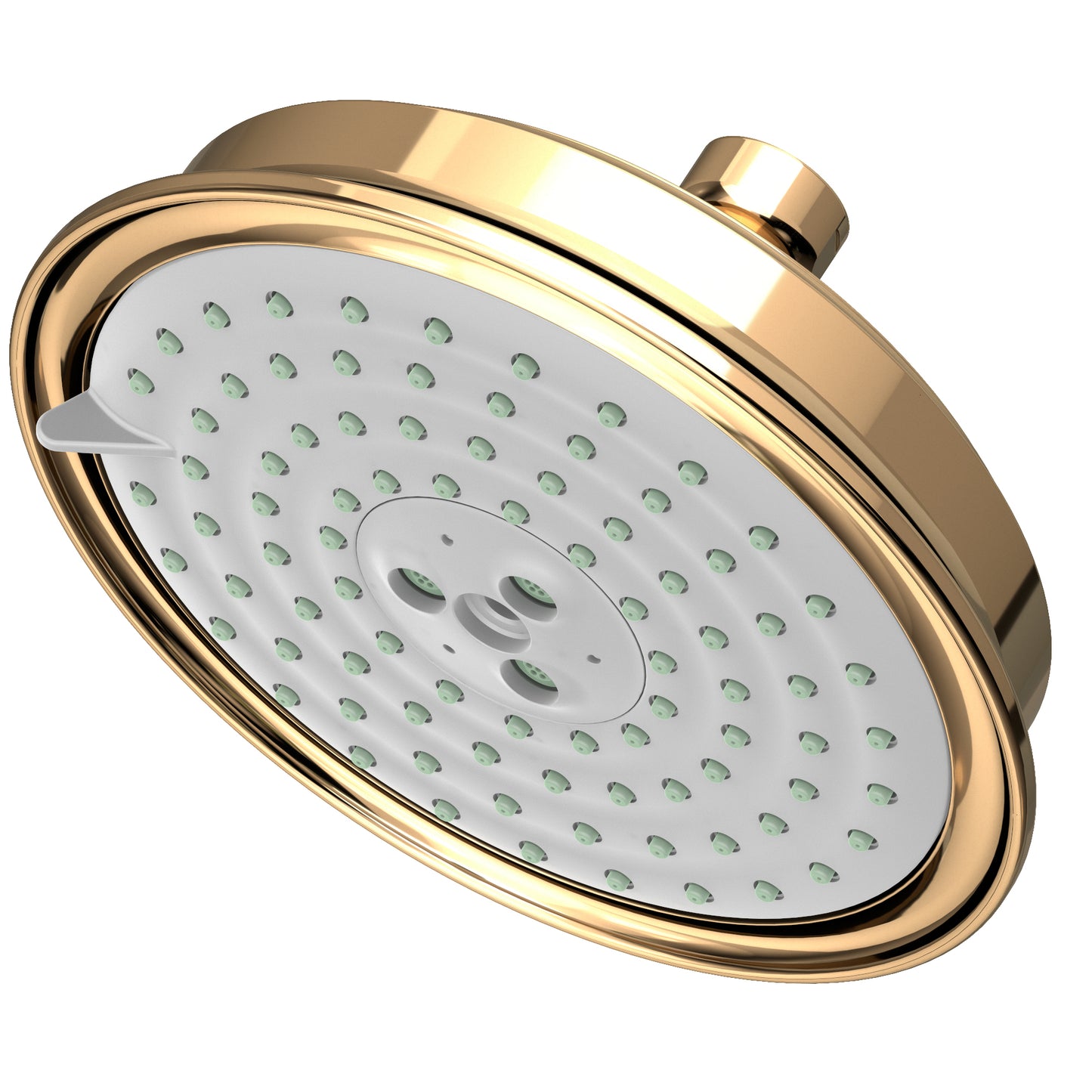 Newport Brass 2144 Multifunction Showerhead