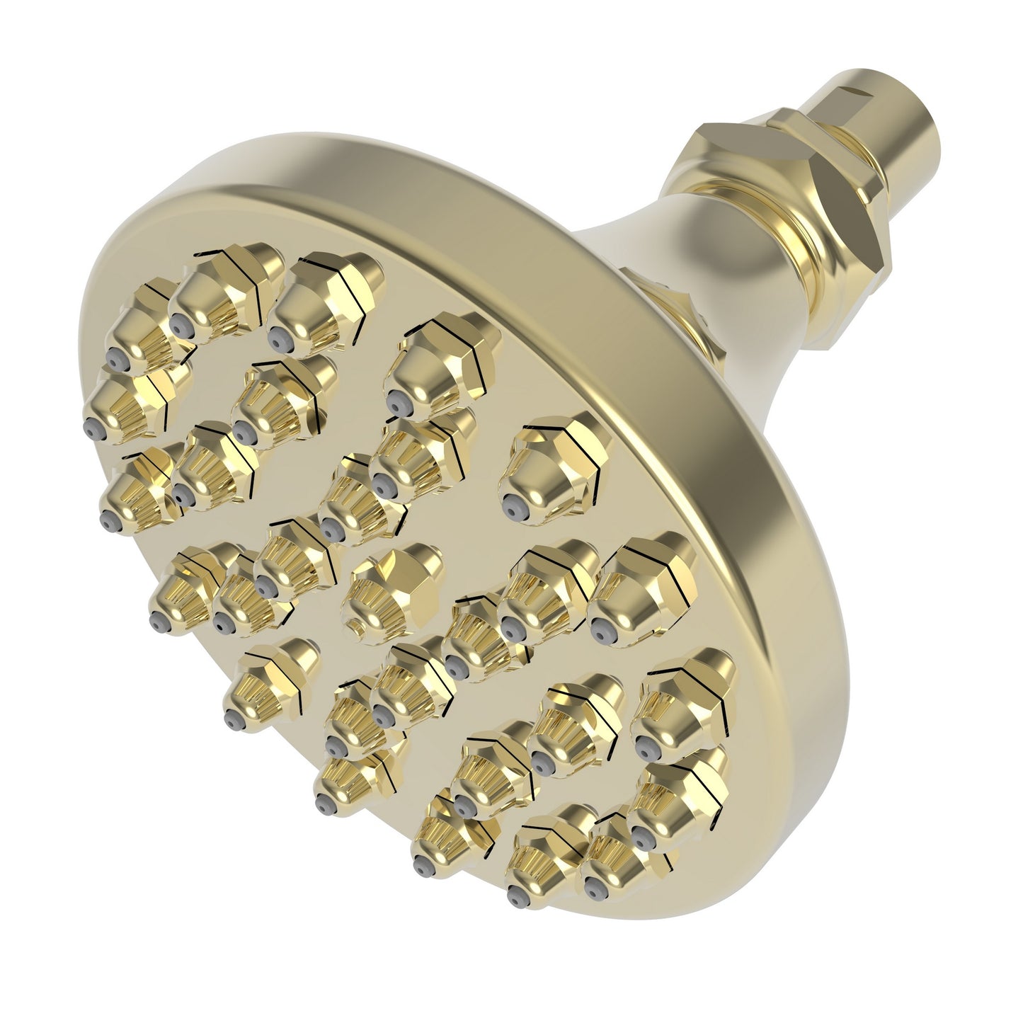 Newport Brass 214 Single Function Shower Head