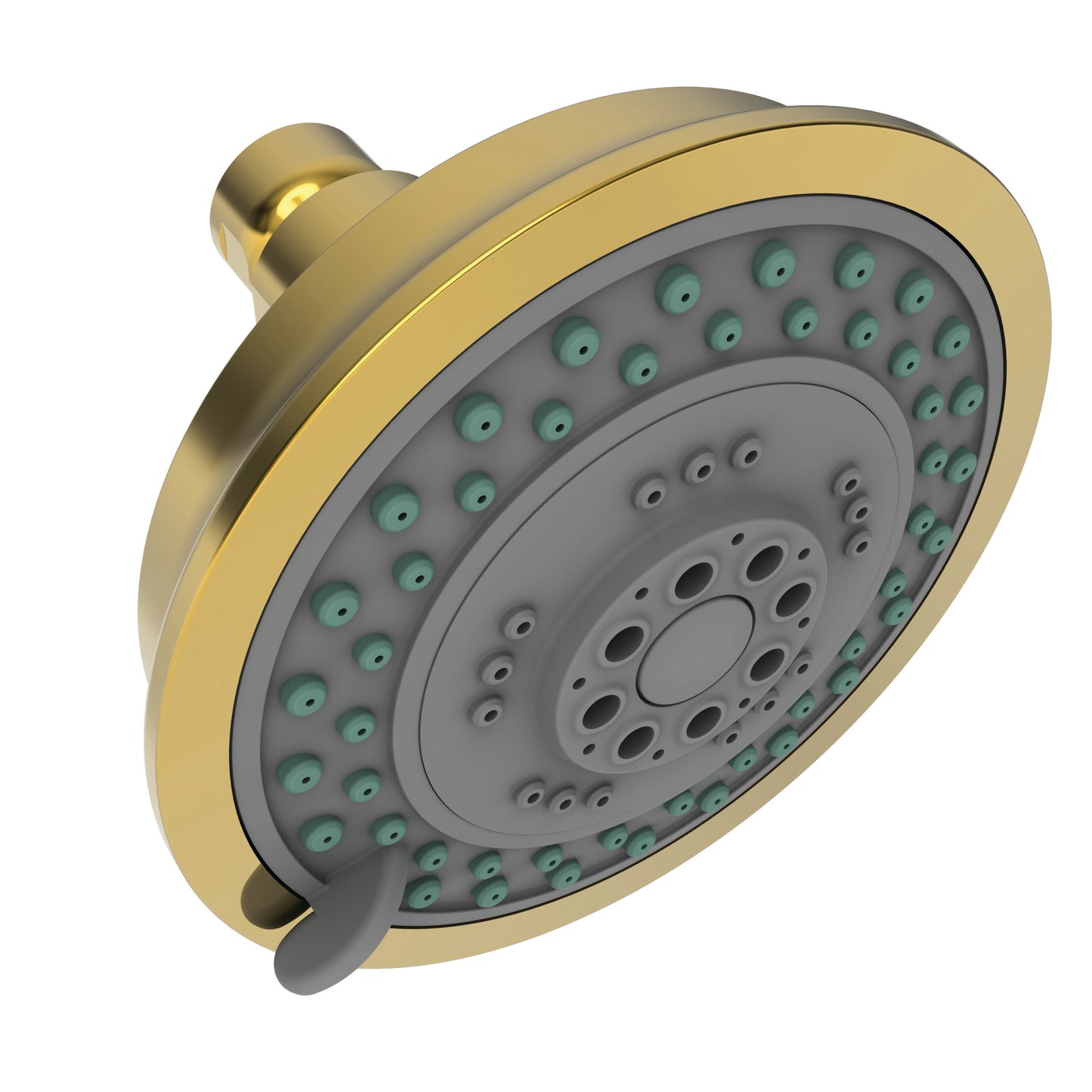 Newport Brass 2156 Multifunction Showerhead