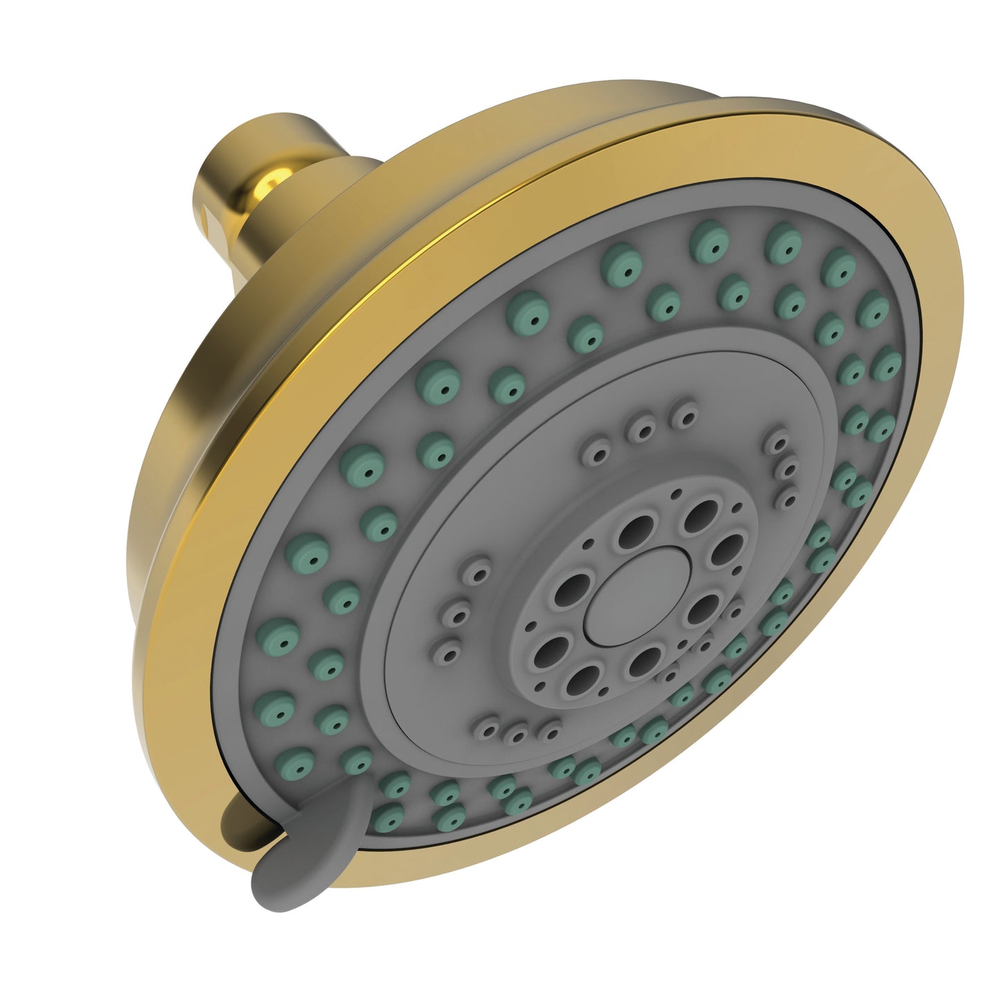 Newport Brass 2156 Multifunction Showerhead