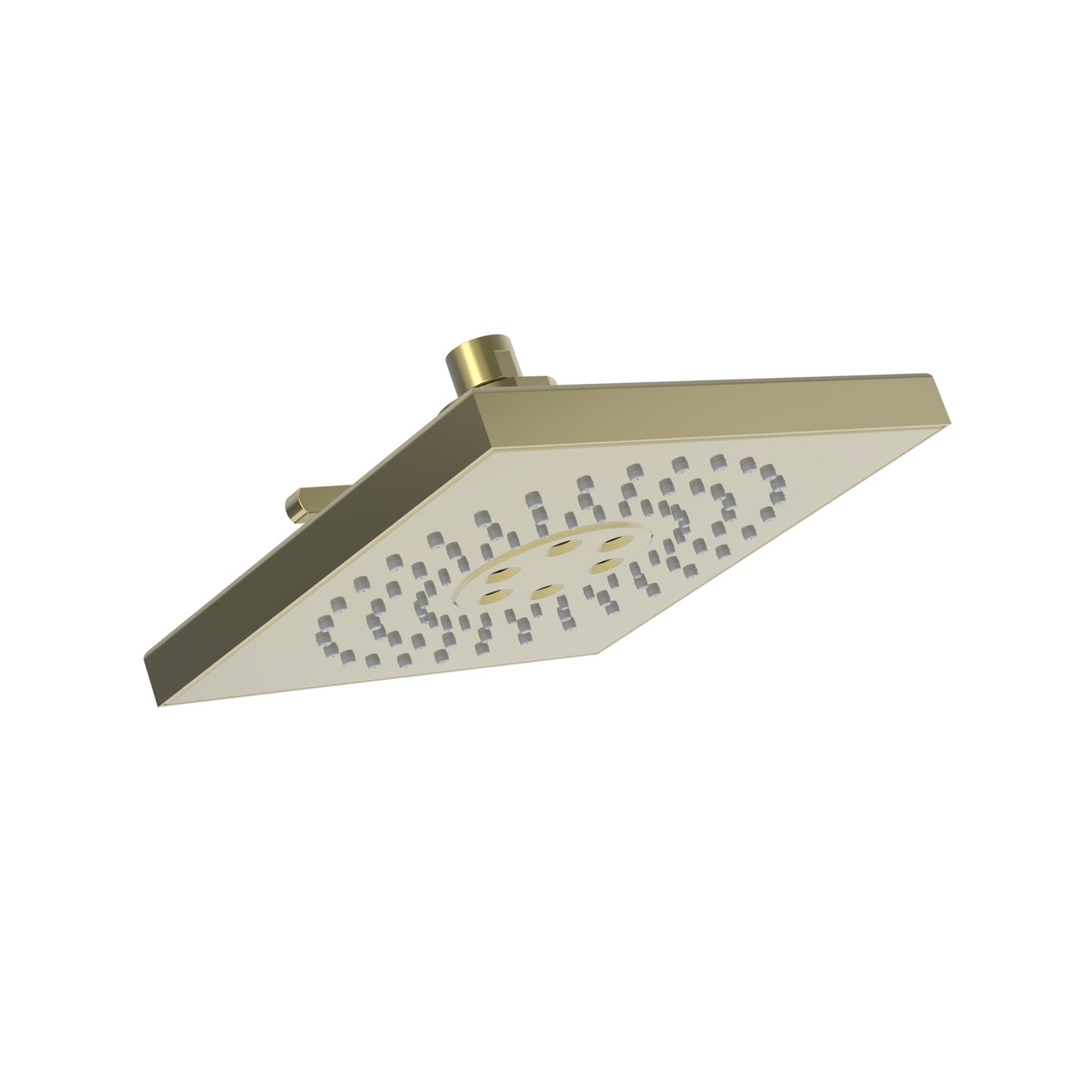 Newport Brass 2159 Multifunction Showerhead
