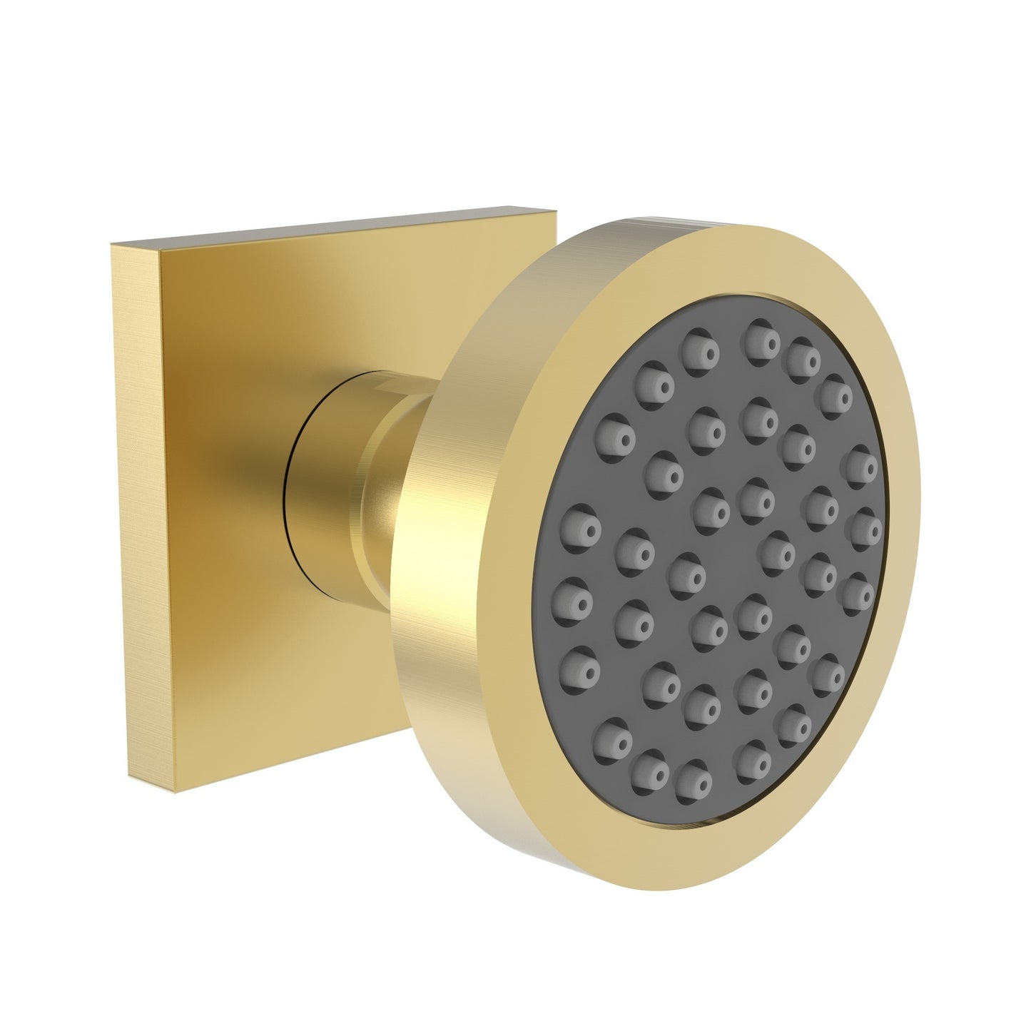 Newport Brass 2173 Body Spray