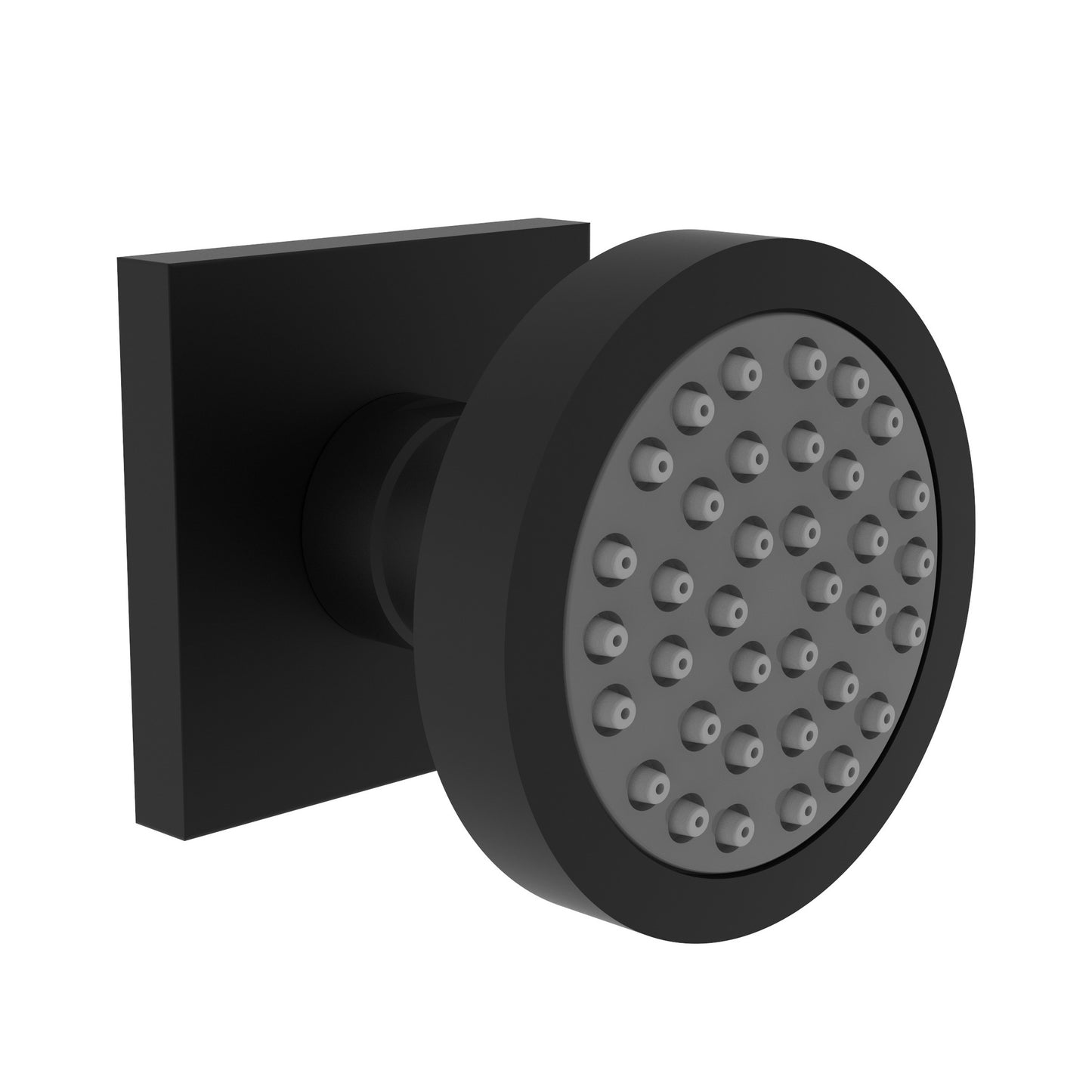 Newport Brass 2173 Body Spray