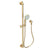 Newport Brass 280E Slide Bar With Multifunction Hand Shower Set