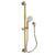Newport Brass 280E Slide Bar With Multifunction Hand Shower Set