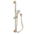 Newport Brass 280E Slide Bar With Multifunction Hand Shower Set