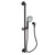 Newport Brass 280E Slide Bar With Multifunction Hand Shower Set