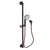 Newport Brass 280E Slide Bar With Multifunction Hand Shower Set