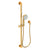 Newport Brass 280F Slide Bar With Multifunction Hand Shower Set