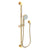 Newport Brass 280F Slide Bar With Multifunction Hand Shower Set