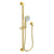 Newport Brass 280F Slide Bar With Multifunction Hand Shower Set