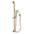 Newport Brass 280F Slide Bar With Multifunction Hand Shower Set
