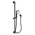 Newport Brass 280F Slide Bar With Multifunction Hand Shower Set