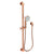 Newport Brass 280F Slide Bar With Multifunction Hand Shower Set