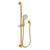 Newport Brass 280F Slide Bar With Multifunction Hand Shower Set