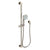 Newport Brass 280F Slide Bar With Multifunction Hand Shower Set