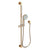 Newport Brass 280F Slide Bar With Multifunction Hand Shower Set