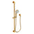 Newport Brass 280F Slide Bar With Multifunction Hand Shower Set