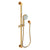 Newport Brass 280F Slide Bar With Multifunction Hand Shower Set