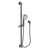 Newport Brass 280F Slide Bar With Multifunction Hand Shower Set
