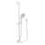 Newport Brass 280F Slide Bar With Multifunction Hand Shower Set