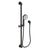 Newport Brass 280F Slide Bar With Multifunction Hand Shower Set