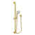 Newport Brass 280L Slide Bar With Single Function Hand Shower Set