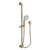 Newport Brass 280L Slide Bar With Single Function Hand Shower Set