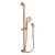 Newport Brass 280L Slide Bar With Single Function Hand Shower Set