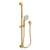 Newport Brass 280L Slide Bar With Single Function Hand Shower Set
