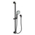Newport Brass 280L Slide Bar With Single Function Hand Shower Set