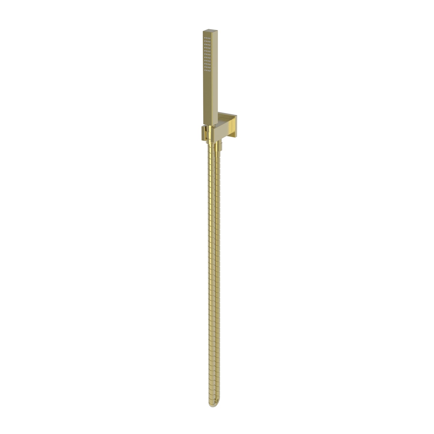 Newport Brass 280P Single Function Hand Shower Set