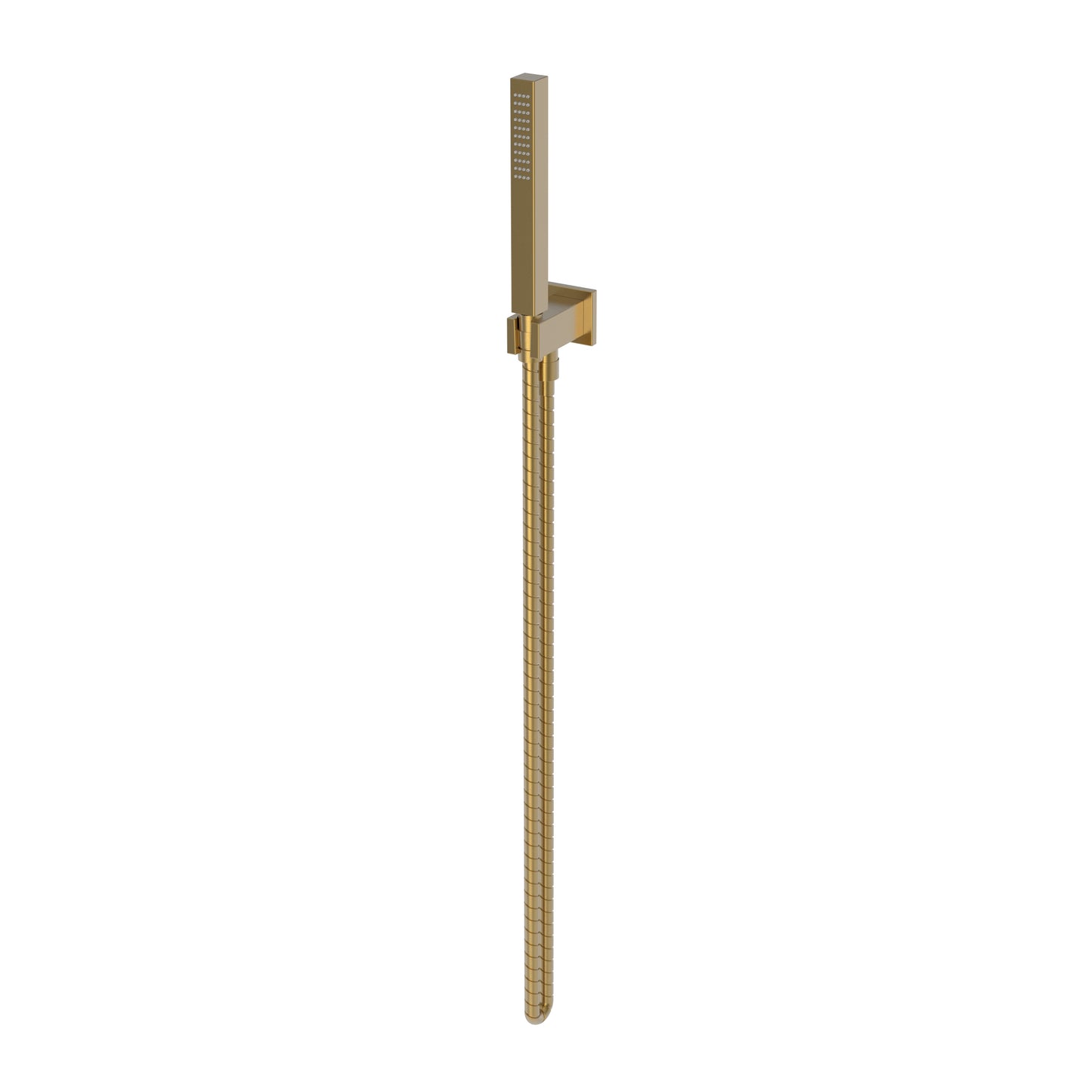 Newport Brass 280P Single Function Hand Shower Set