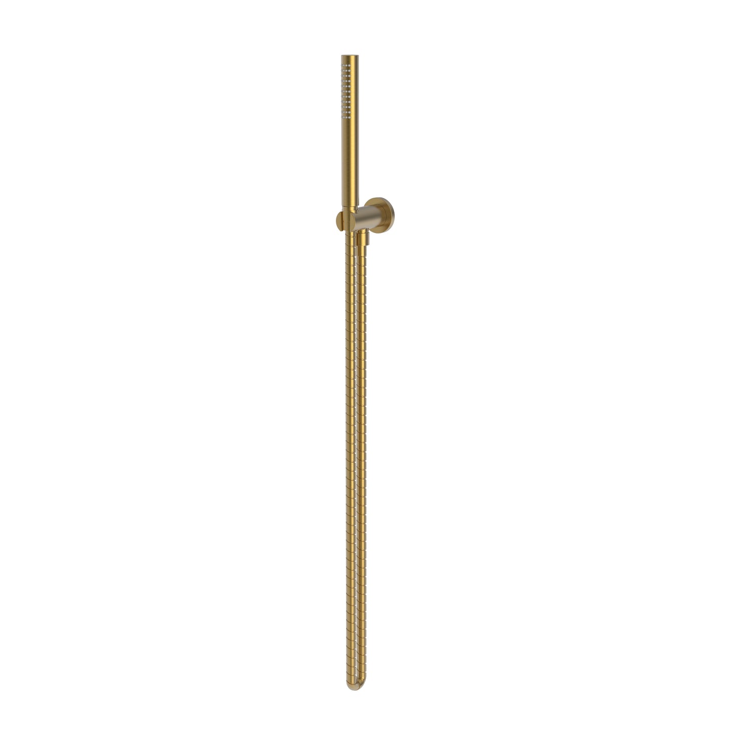 Newport Brass 280R Single Function Hand Shower Set