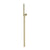 Newport Brass 280R Single Function Hand Shower Set