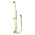 Newport Brass 280S Slide Bar With Single Function Hand Shower Set