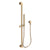 Newport Brass 280S Slide Bar With Single Function Hand Shower Set