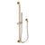Newport Brass 280S Slide Bar With Single Function Hand Shower Set