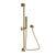 Newport Brass 280T Slide Bar With Single Function Hand Shower Set
