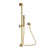Newport Brass 280T Slide Bar With Single Function Hand Shower Set