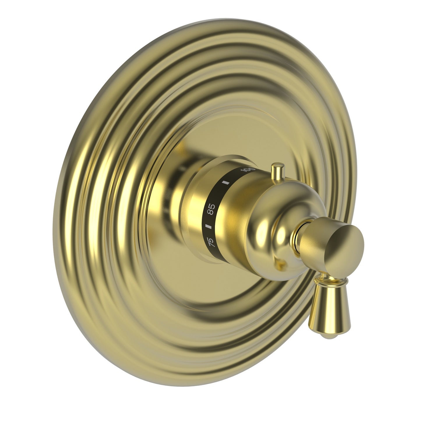 Newport Brass 3-1204TR Metropole 3/4" Round Thermostatic Trim Plate With Handle