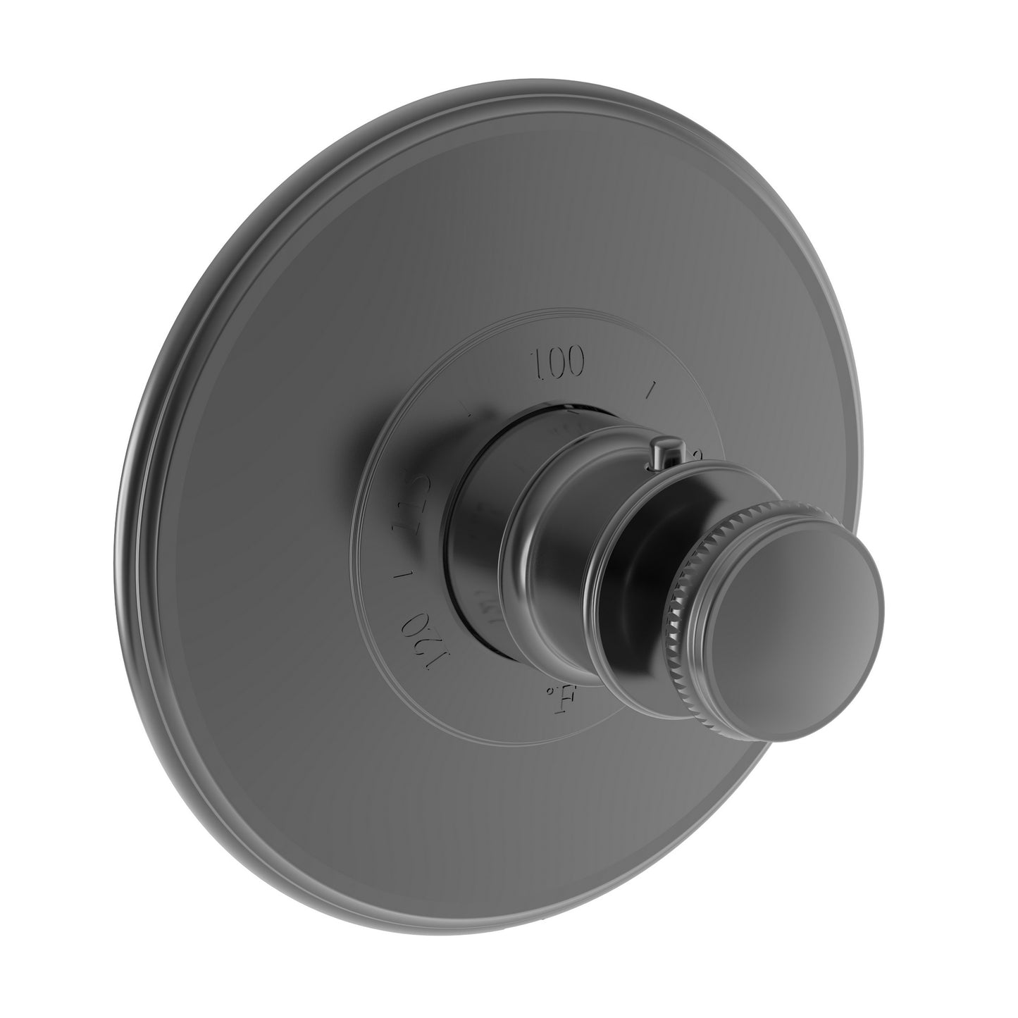 Newport Brass 3-2554TR Ithaca 3/4" Round Thermostatic Trim Plate with Handle