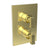 Newport Brass 3-2573TS Joffrey 1/2" Square Thermostatic Trim Plate with Handle