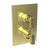 Newport Brass 3-2573TS Joffrey 1/2" Square Thermostatic Trim Plate with Handle