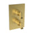 Newport Brass 3-2573TS Joffrey 1/2" Square Thermostatic Trim Plate with Handle