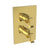Newport Brass 3-2573TS Joffrey 1/2" Square Thermostatic Trim Plate with Handle